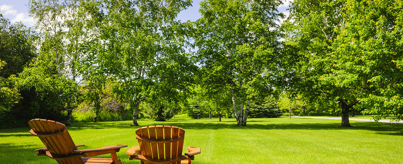 Relax in Lush Green Lawn